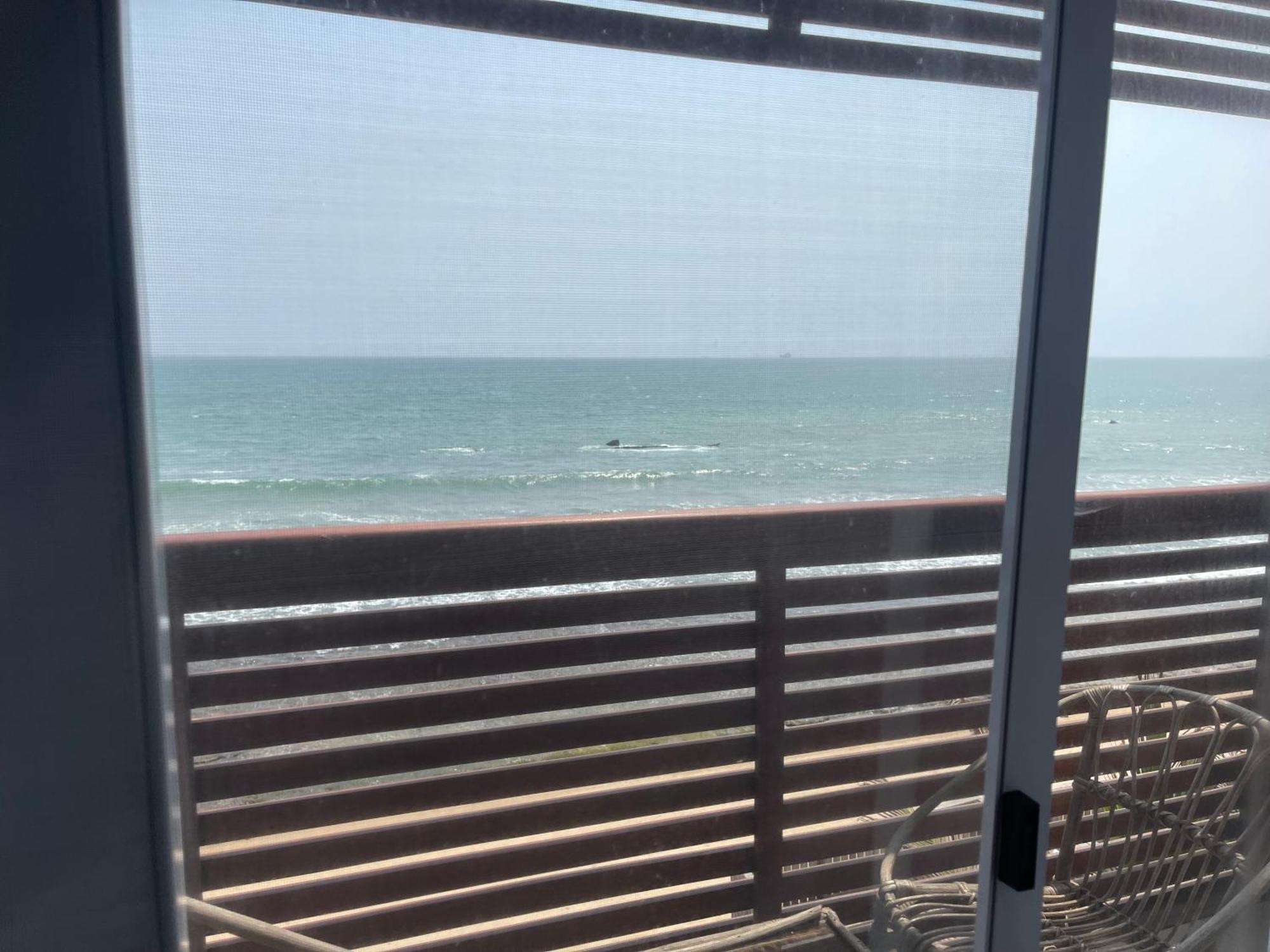 Ocean Green Beach Resorts And Villas Prampram Buitenkant foto